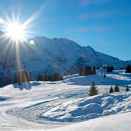 Grand Roc Campanules 424 - Happy Chamonix